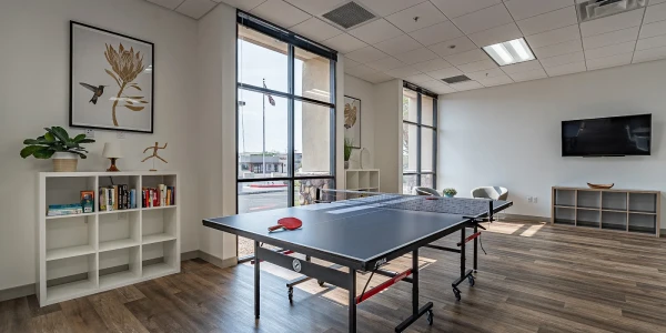 SpringBoard Recovery